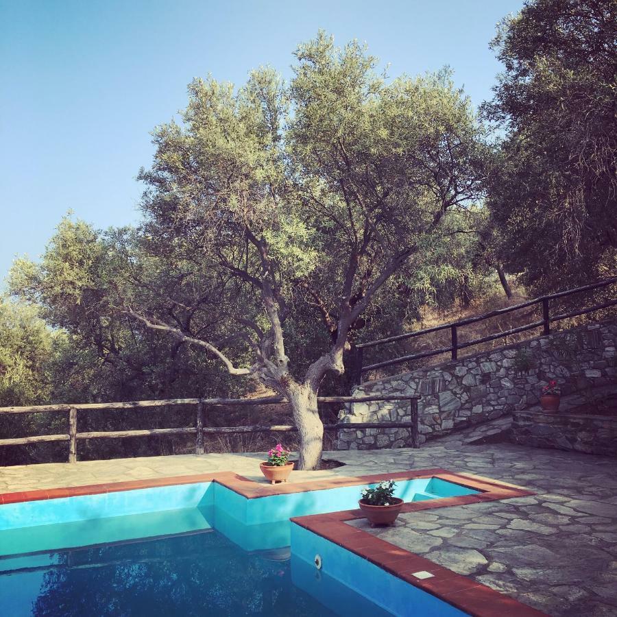 פירגדיקיה Villa Valia: Traditional Luxurious Residence מראה חיצוני תמונה